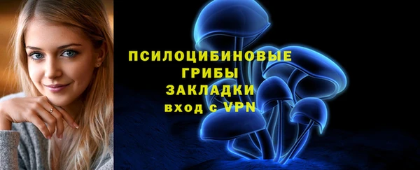 твердый Алзамай
