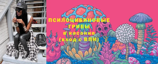 твердый Алзамай