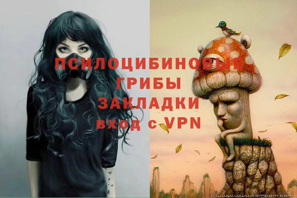 твердый Алзамай