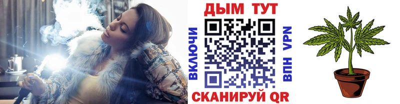 Шишки марихуана план  сколько стоит  Белоярский 
